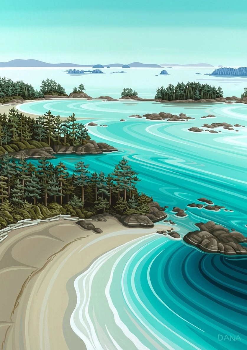 Soaring over Tofino