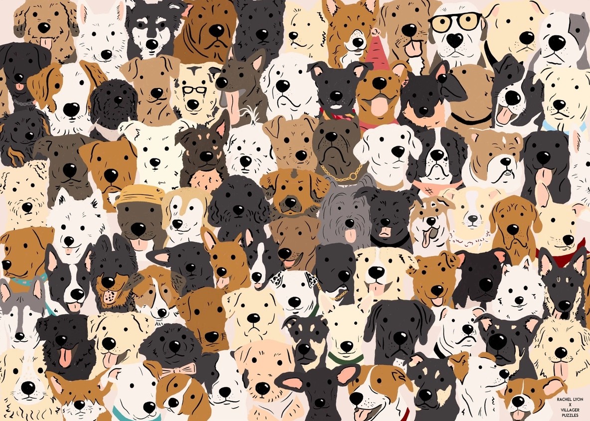Rescue Dogs