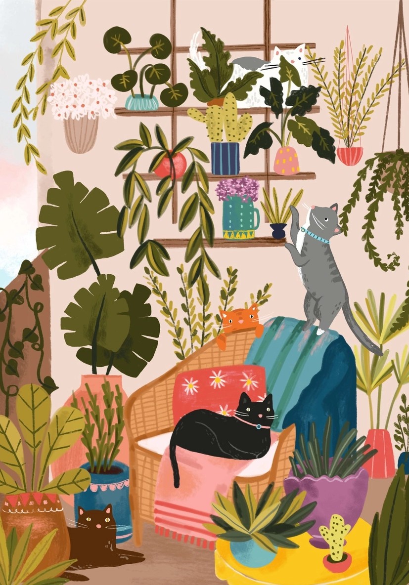 Balcony Cats